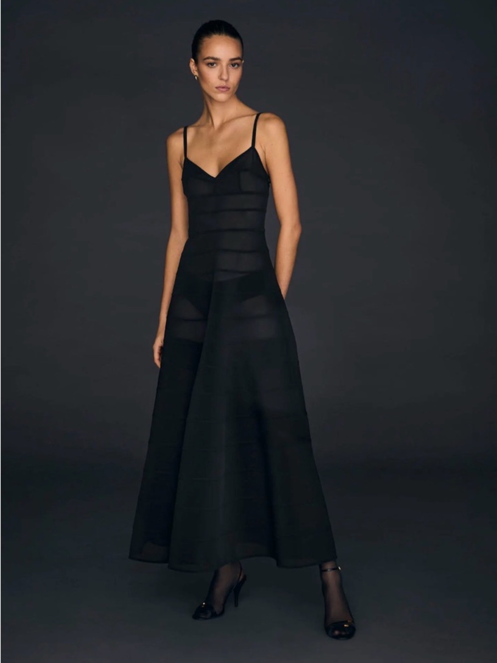 Victoria Secret Atelier x Altuzarra Sheer Panels Mesh Dress - Picture 2 of 12